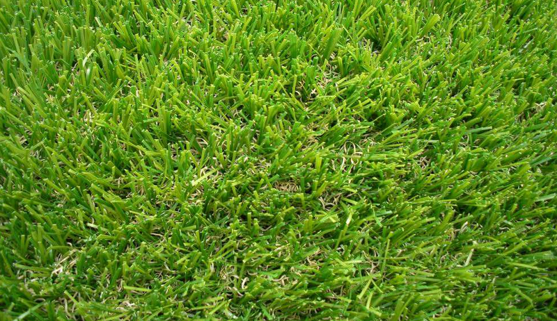 足球草中的人造草与天然草之间的对比
