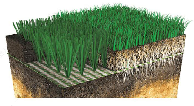 顶级球场最佳选择-人造草 天然草混合系统