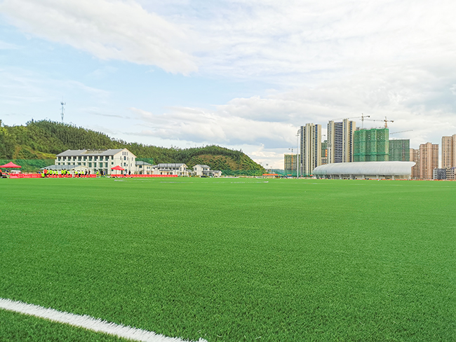 体育场人造草坪多重优点打造亮丽风景线